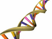 New patent law helps to protect genes