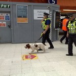 sniffer dogs